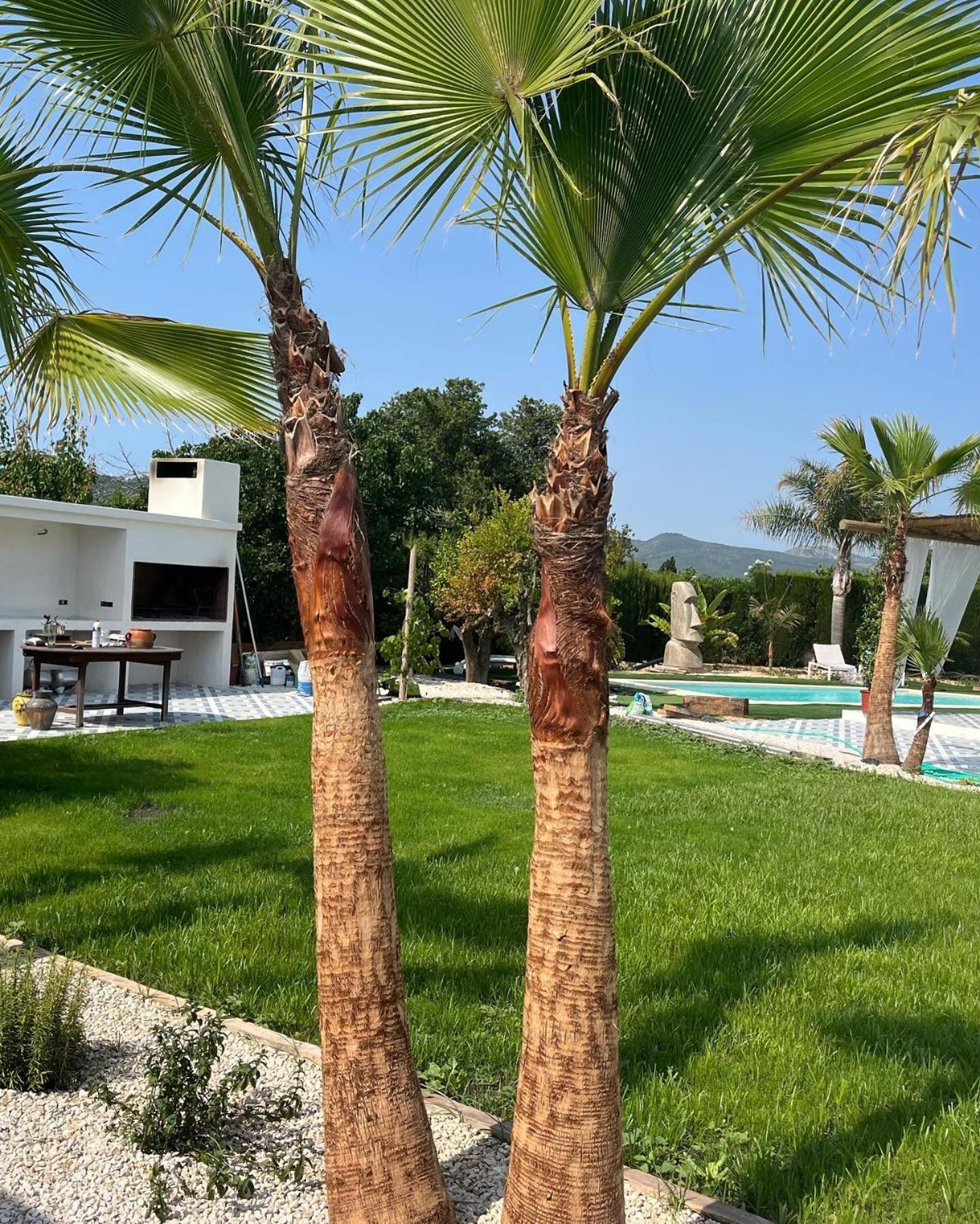 Casanoa Luxury Villa Bed And Breakfast Jávea Eksteriør bilde